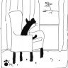 Cats go wild