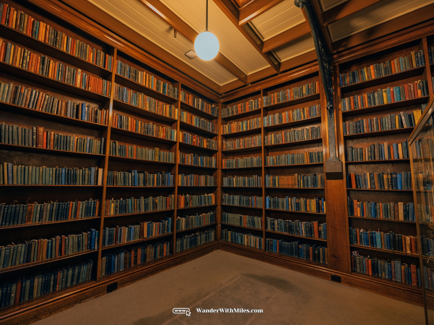 The mort lock wing state library of southern australia (20)