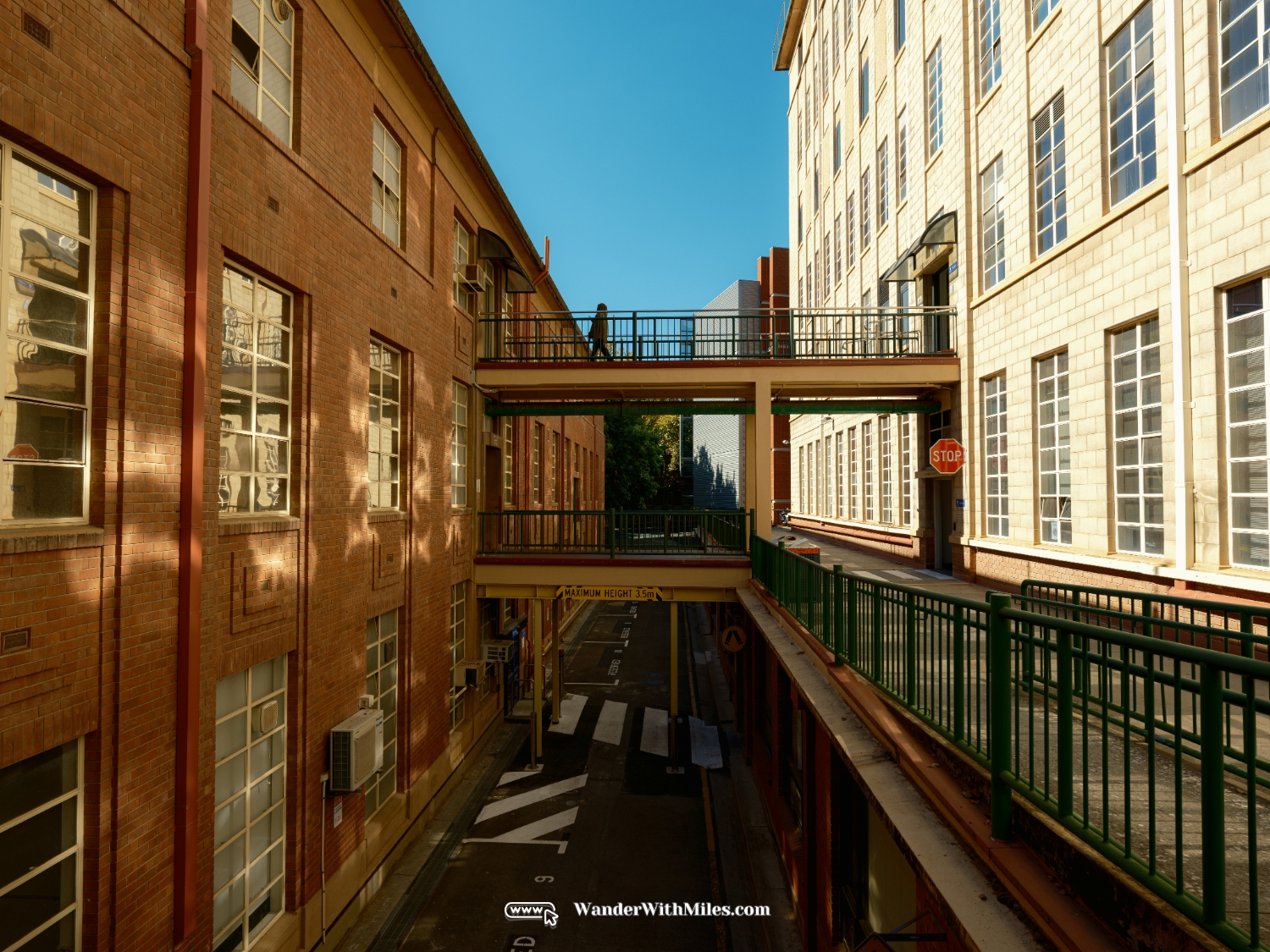 阿德莱德大学 scf3153