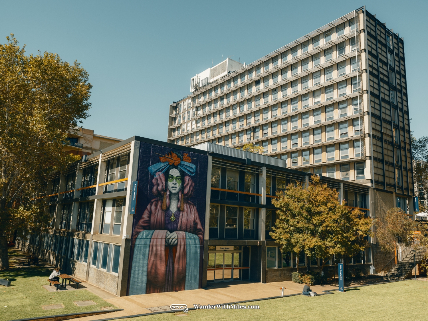 阿德莱德大学 scf3163