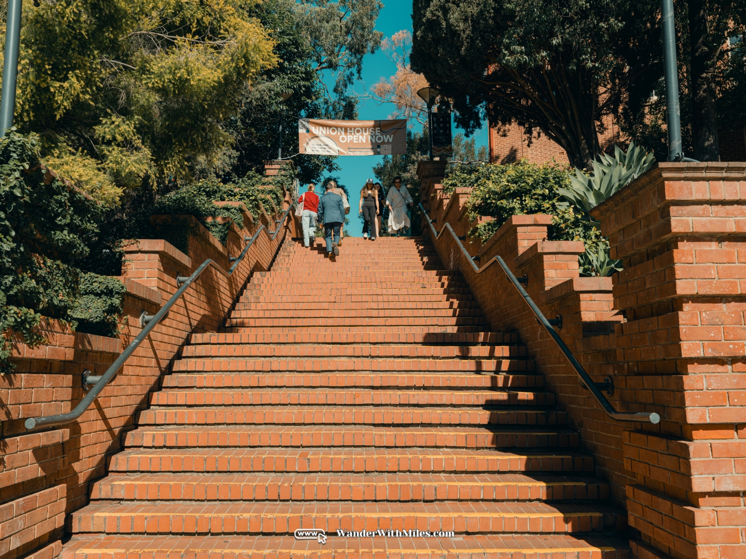 阿德莱德大学 scf3164