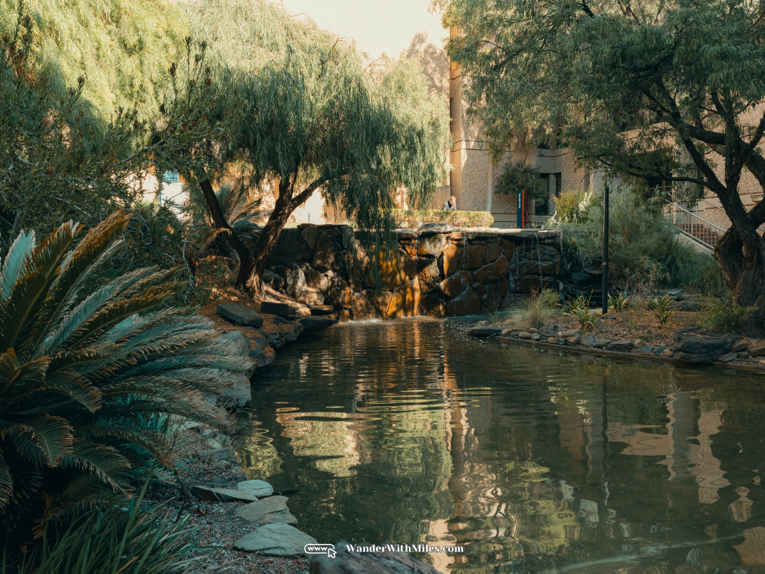 阿德莱德大学 scf3191