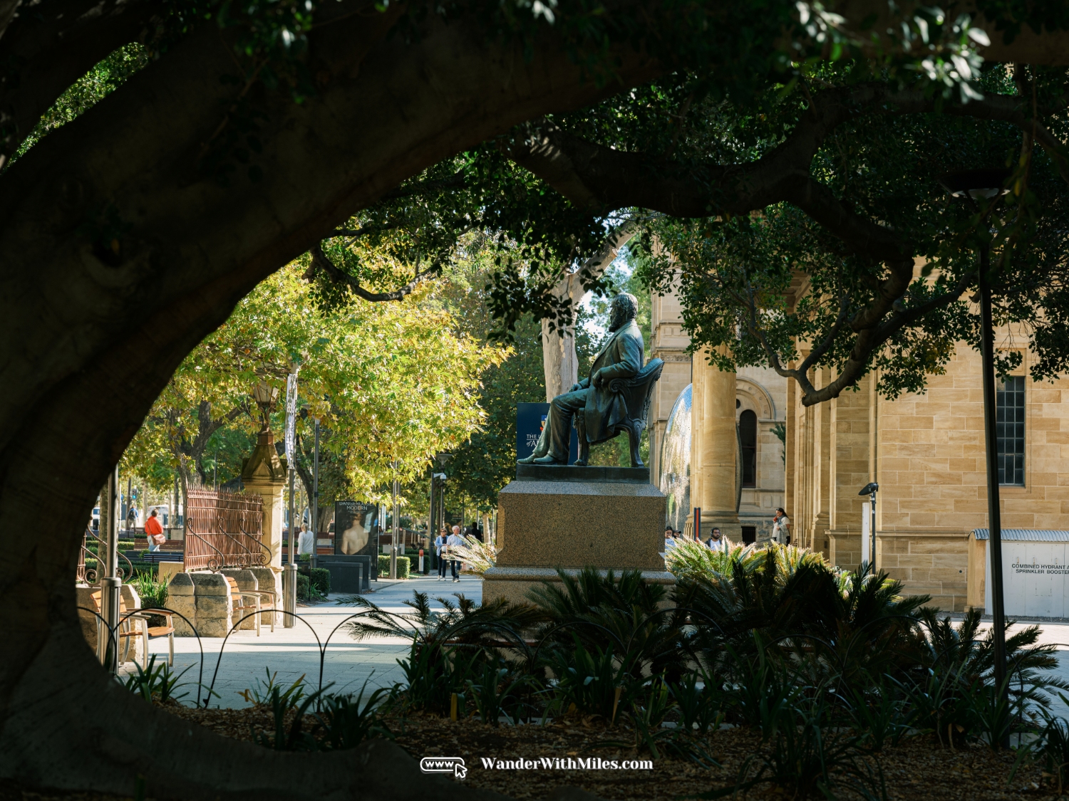阿德莱德大学 scf3254