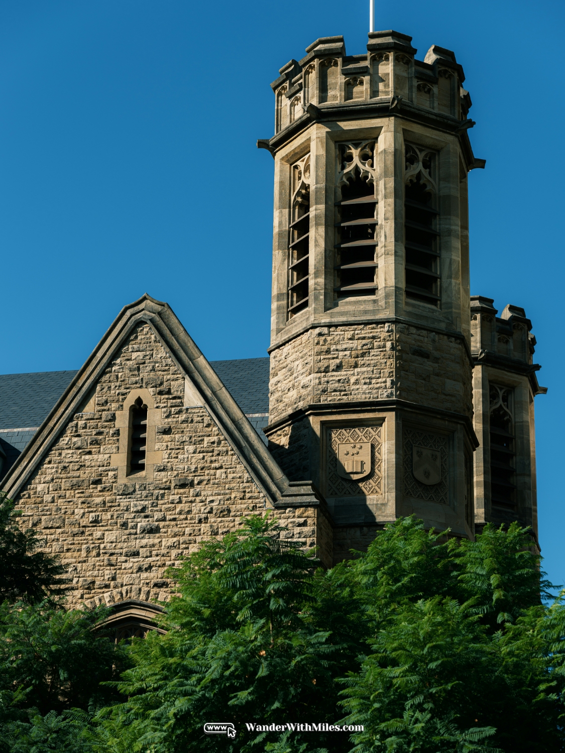 阿德莱德大学 scf3255